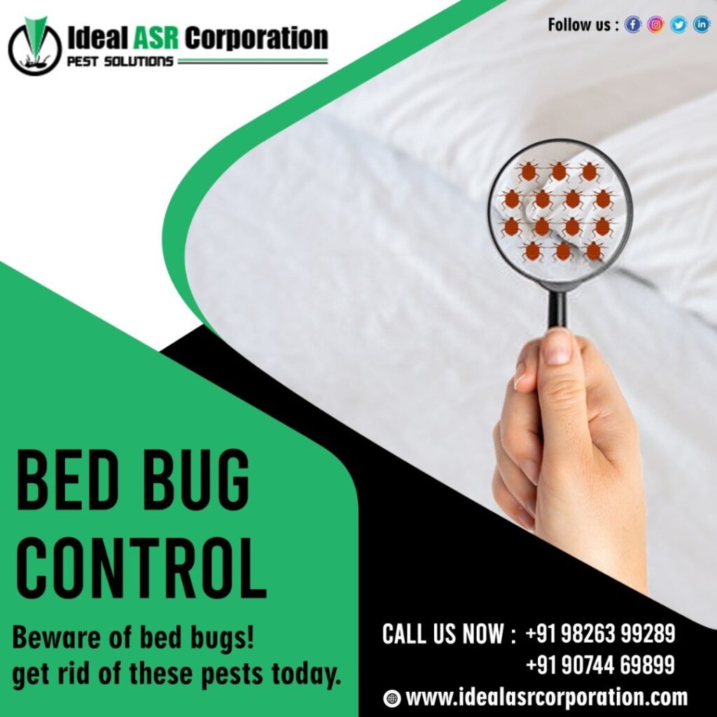 bed bug treatment in Indore - Ideal ASR Corporation