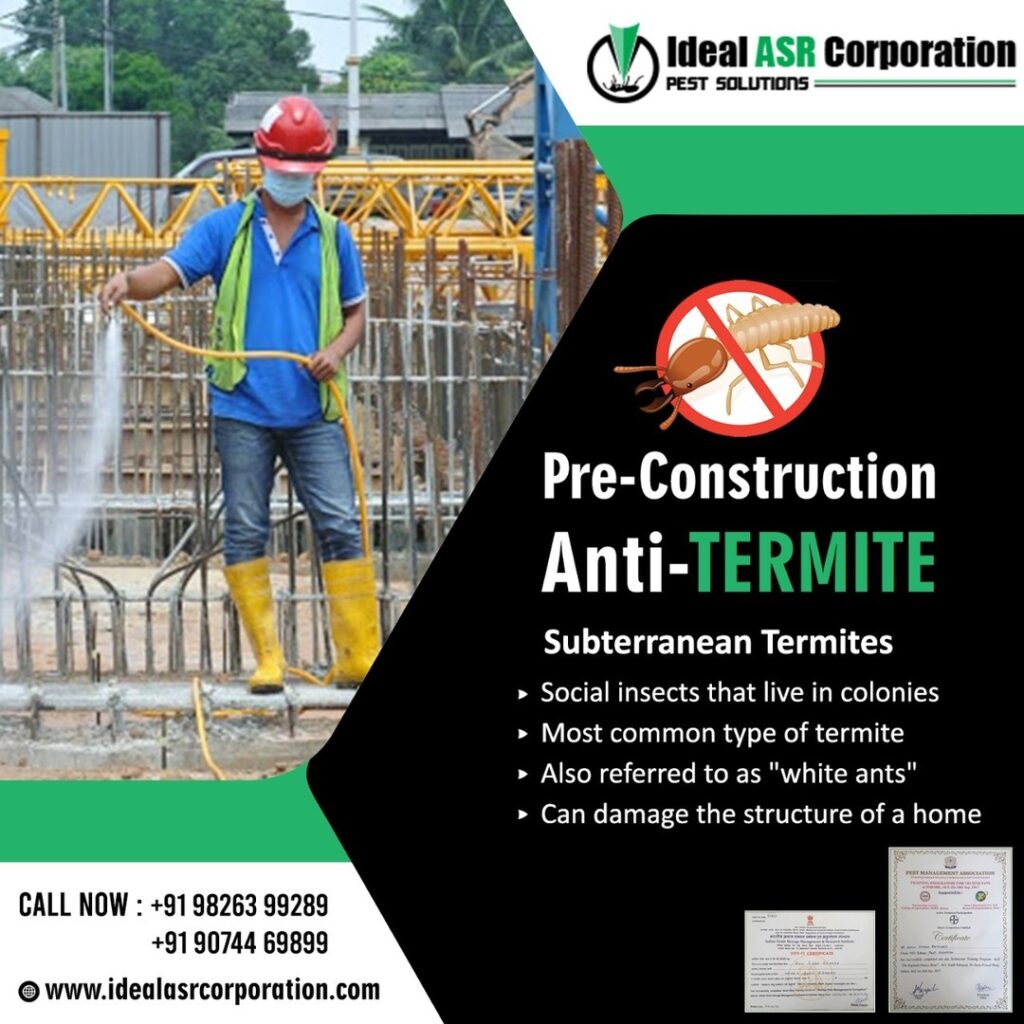 ants control services Indore - Ideal ASR Corporation