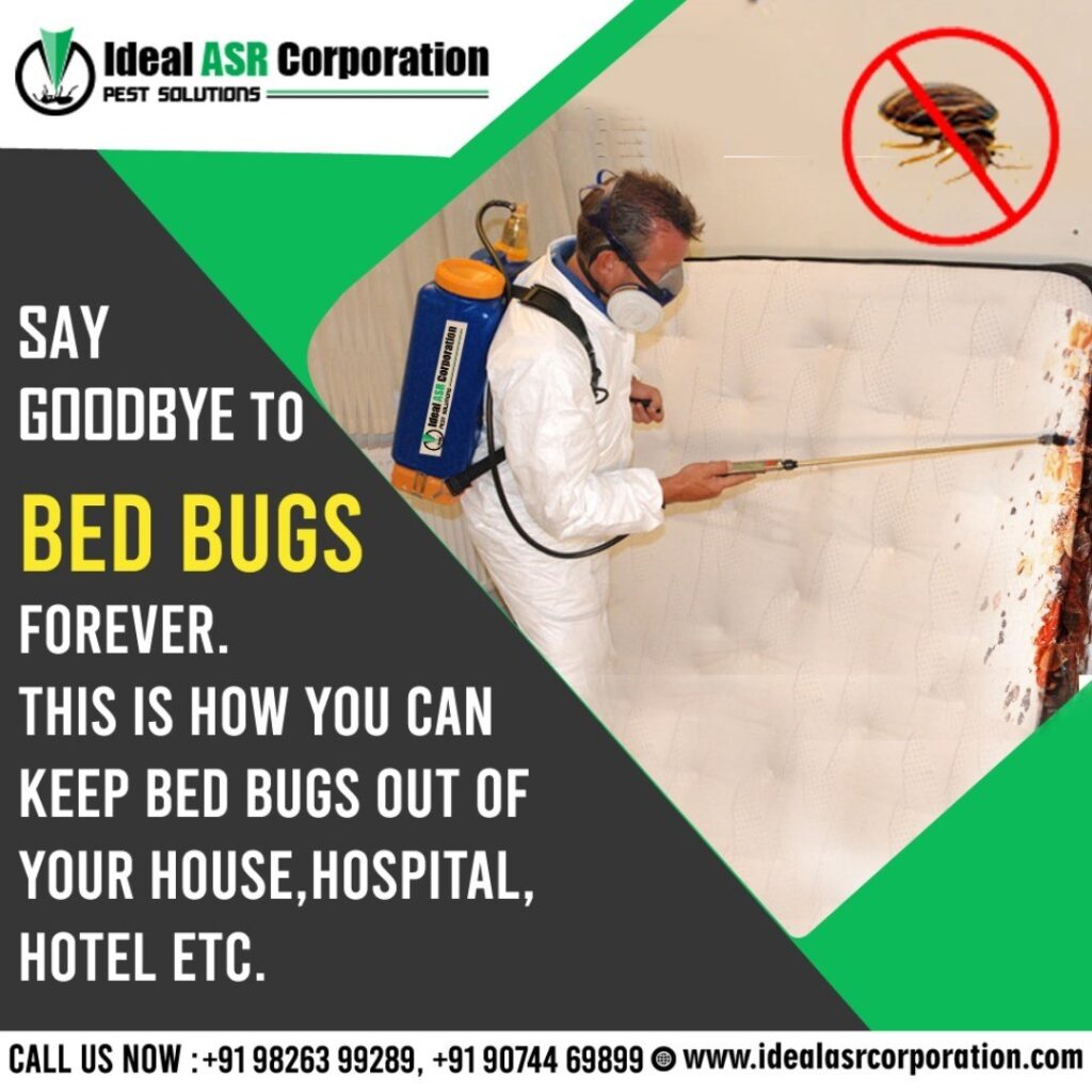 bed bugs control in Indore