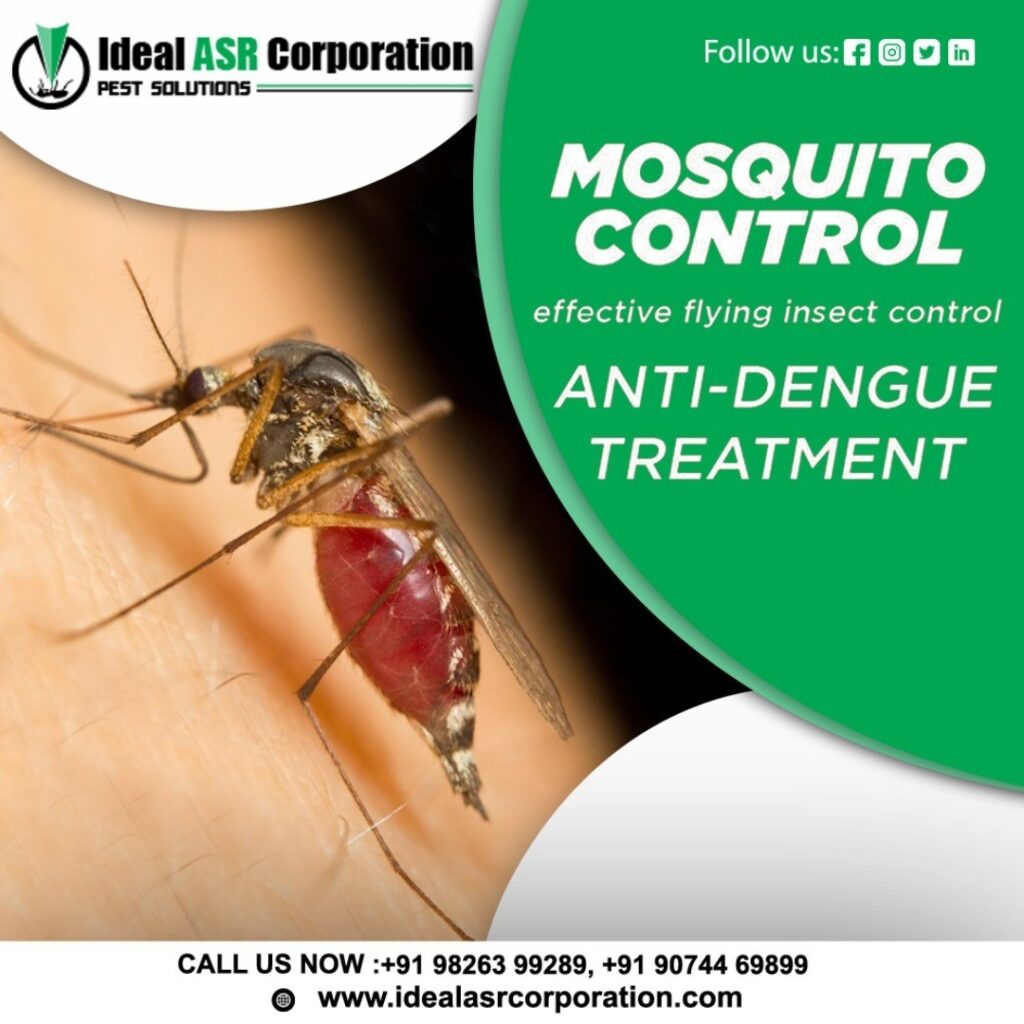 mosquito control service in Indore - Ideal ASR Corporation