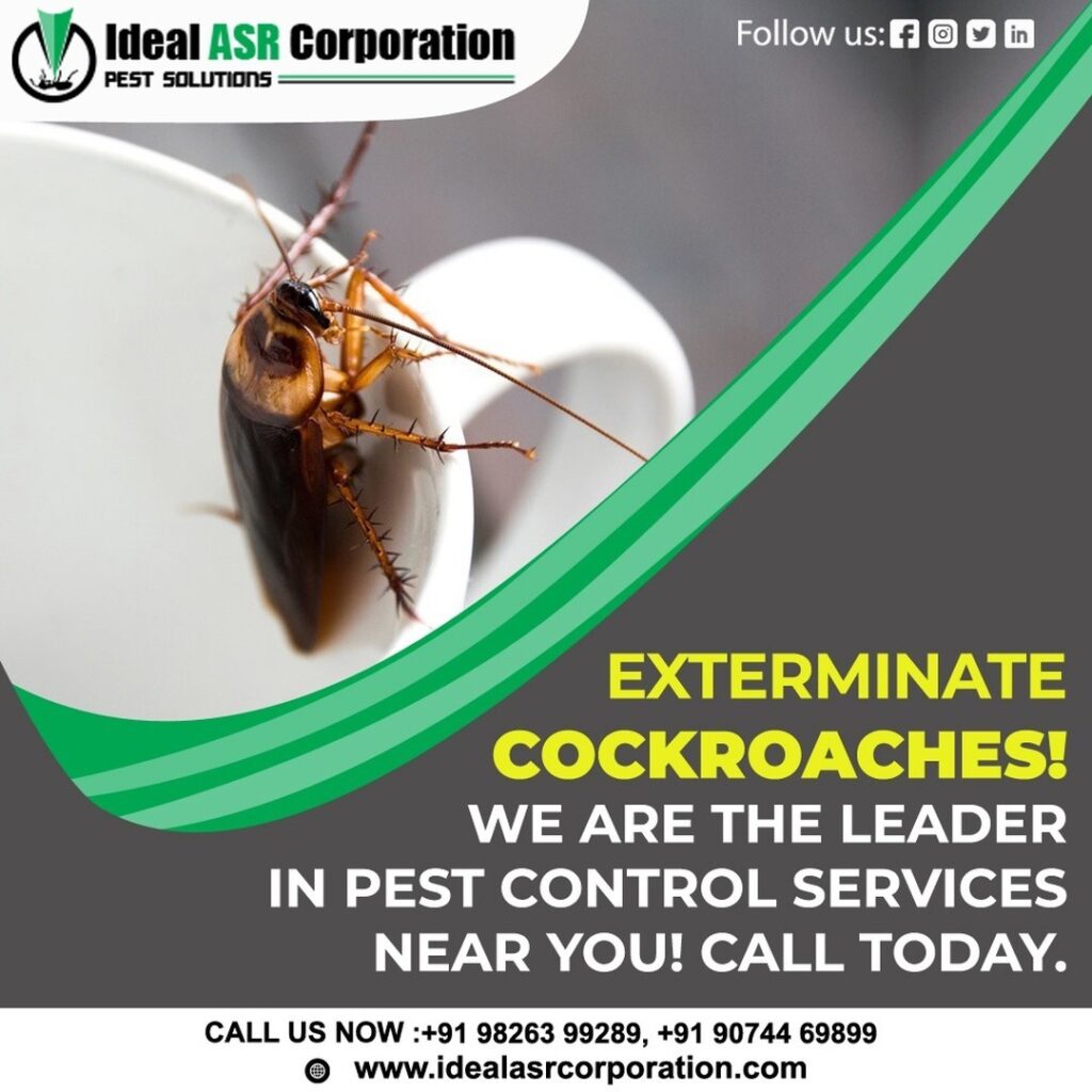 Cockroach Control Service - Ideal ASR Corporation