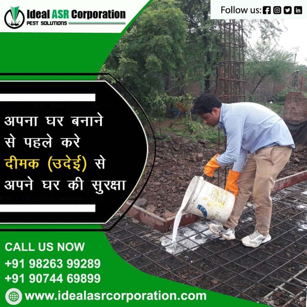 termite and pest control Indore - Ideal ASR Corporation