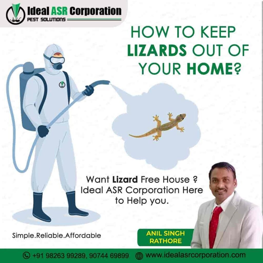 lizard control service - Ideal ASR Corporation