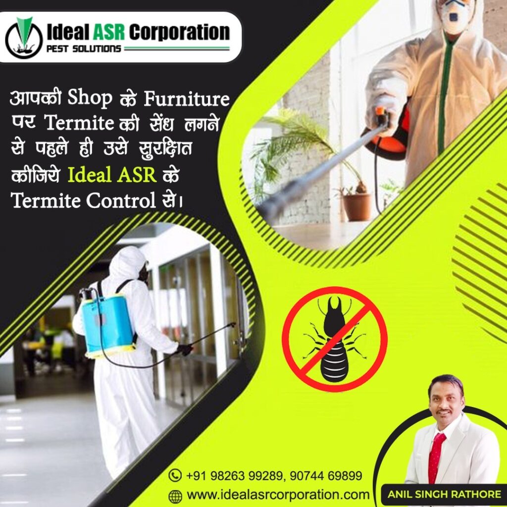 termite control in Indore - Ideal ASR Corporation