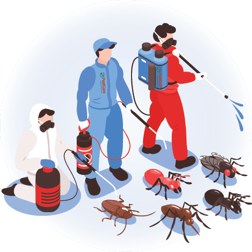 pest control service Indore