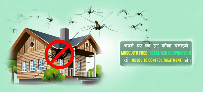 mosquito control in Indore - Ideal ASR Corporation